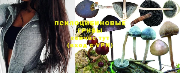 a pvp Нефтегорск