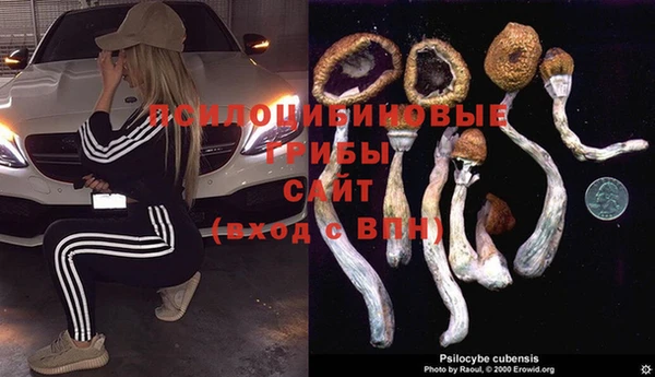 твердый Нефтекумск