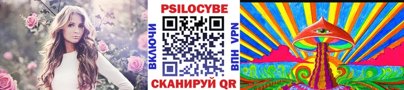 Псилоцибиновые грибы мухоморы  как найти наркотики  Байкальск 